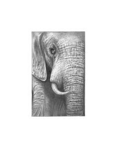 "The Elephant" Print (9"x12")